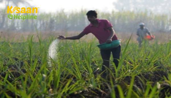 उर्वरक की बिक्री बढ़ने की संभावना है क्योंकि फसल क्षेत्र का विस्तार होने की उम्मीद है